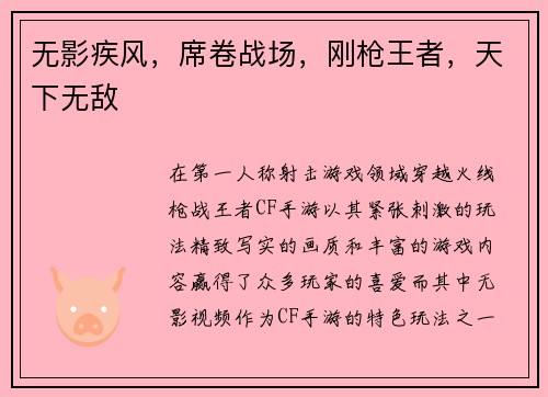 无影疾风，席卷战场，刚枪王者，天下无敌